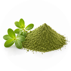 Bacopa